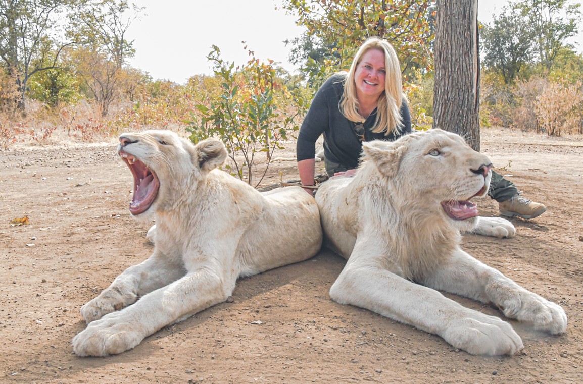 White Lion